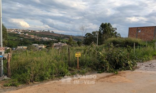 meio Lote Nat Q X (2)