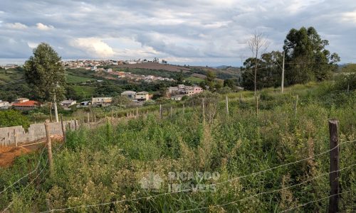 meio Lote Nat Q X (4)