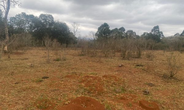 terreno Rural M (1)