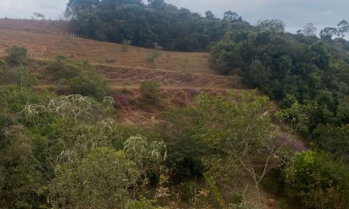 terreno Rural M (11)