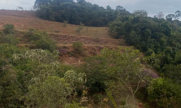 terreno Rural M (11)