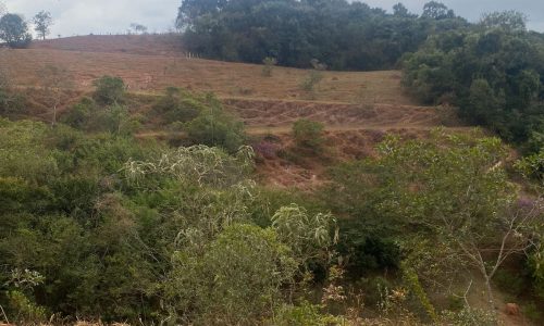 terreno Rural M (12)