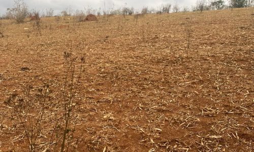 terreno Rural M (13)