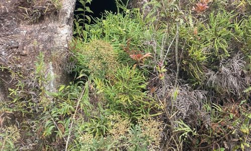 terreno Rural M (14)