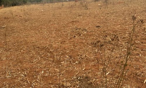 terreno Rural M (15)