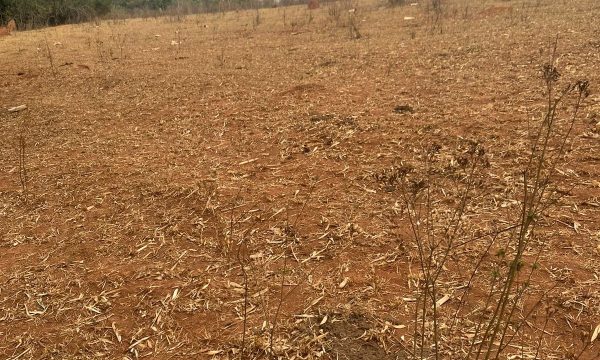 terreno Rural M (15)