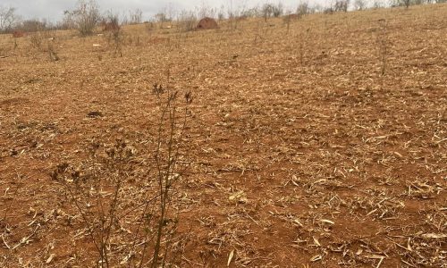 terreno Rural M (16)