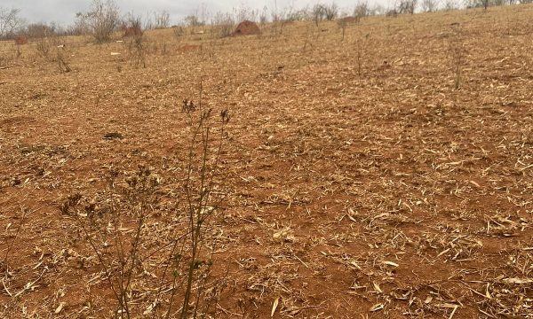 terreno Rural M (16)