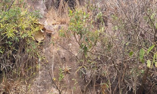 terreno Rural M (17)