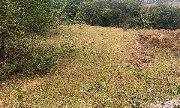 terreno Rural M (19)