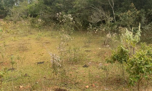 terreno Rural M (20)