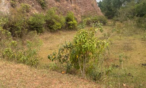 terreno Rural M (21)