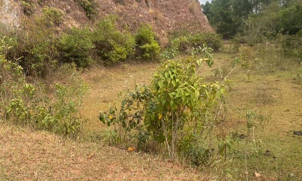 terreno Rural M (21)