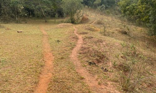 terreno Rural M (22)