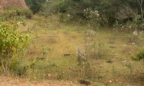 terreno Rural M (23)