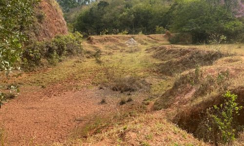 terreno Rural M (25)