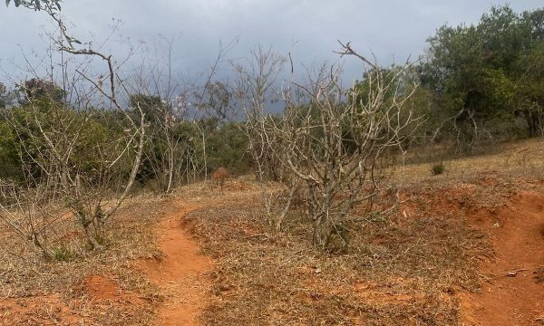terreno Rural M (26)