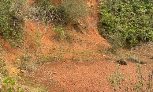 terreno Rural M (27)