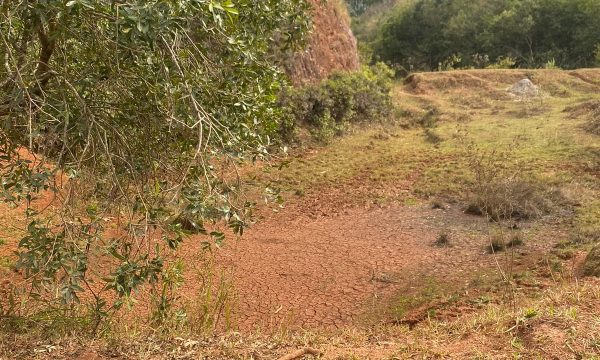 terreno Rural M (29)