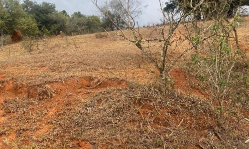 terreno Rural M (30)
