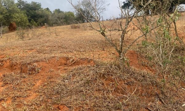 terreno Rural M (30)