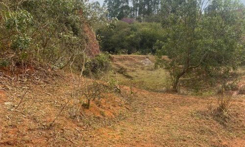 terreno Rural M (31)