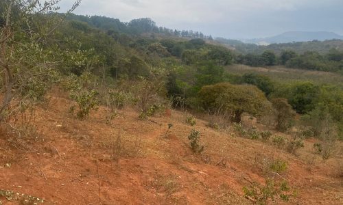 terreno Rural M (33)