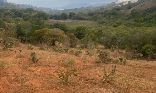 terreno Rural M (34)