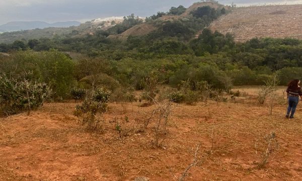 terreno Rural M (36)