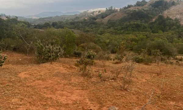 terreno Rural M (37)