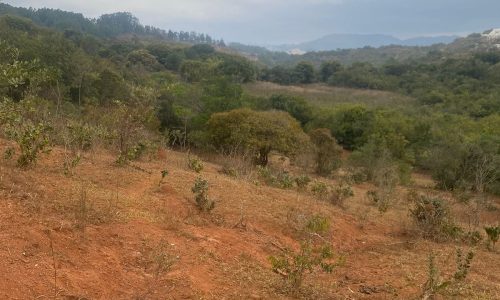 terreno Rural M (38)