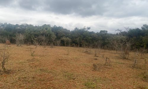 terreno Rural M (40)