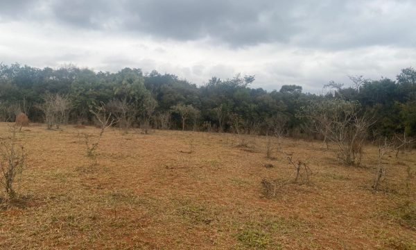 terreno Rural M (40)