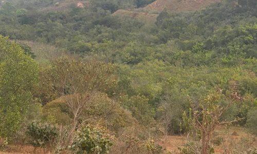 terreno Rural M (41)