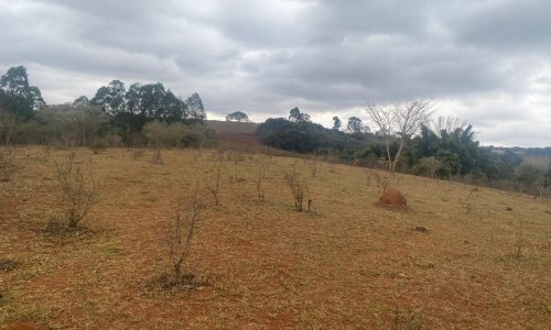 terreno Rural M (42)