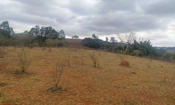 terreno Rural M (42)