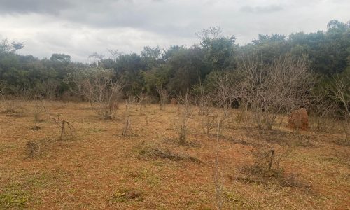 terreno Rural M (43)