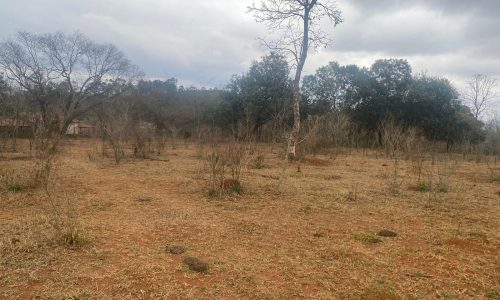 terreno Rural M (45)