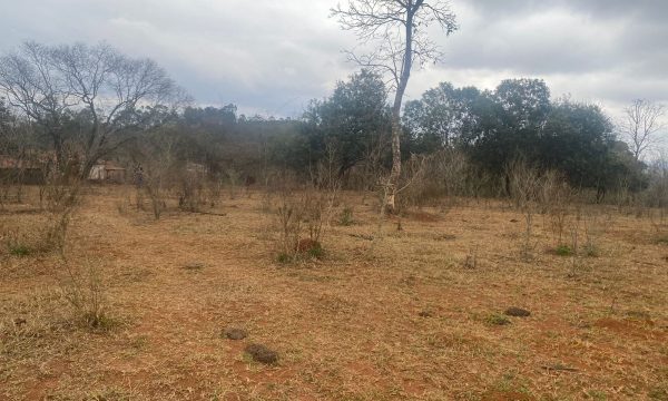 terreno Rural M (45)