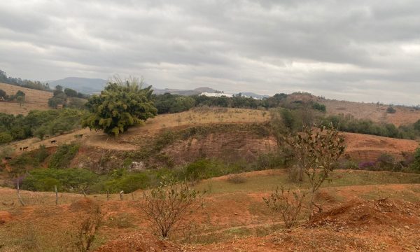 terreno Rural M (6)