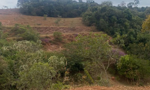 terreno Rural M (9)
